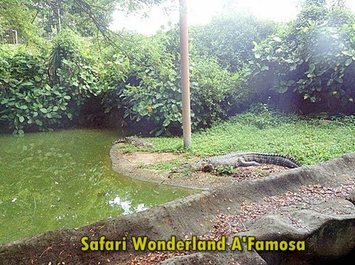 Safari Wonderland A'Famosa Resort Melaka