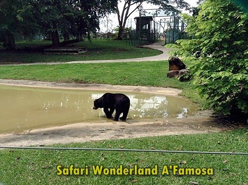Safari Wonderland A'Famosa Resort Melaka
