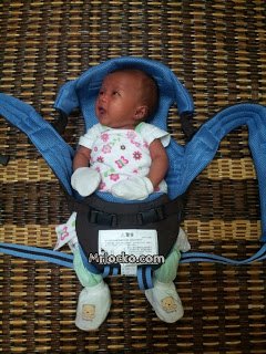 Aprica Baby Carrier