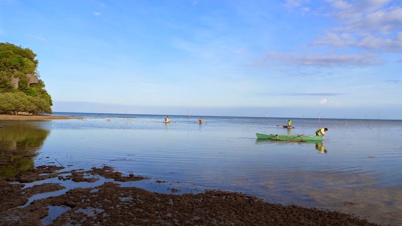 Lamanoc Island Bohol