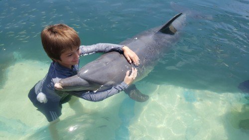 Bali Dolphin Lodge 