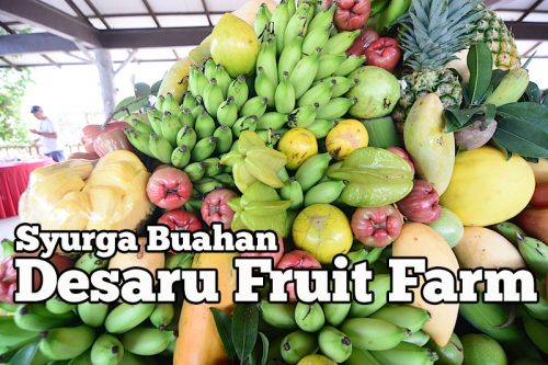 Desaru_Fruit_Farm