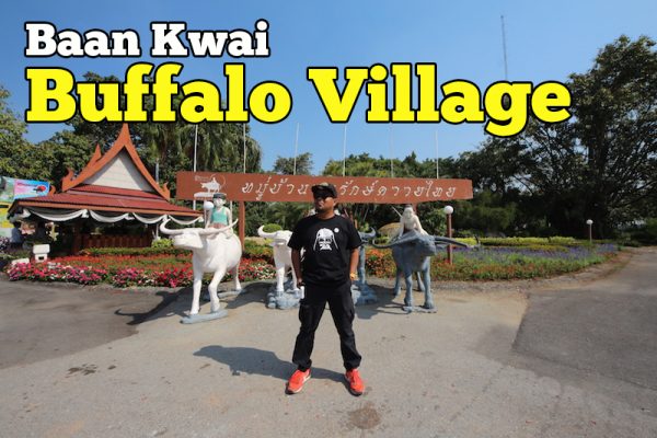Baan Kwai Buffalo Village