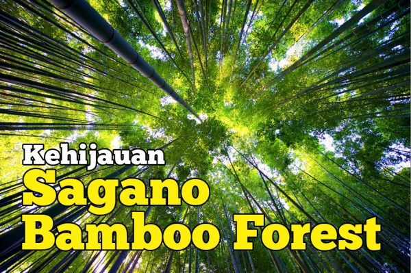 Sagano Bamboo Forest di Arashiyama