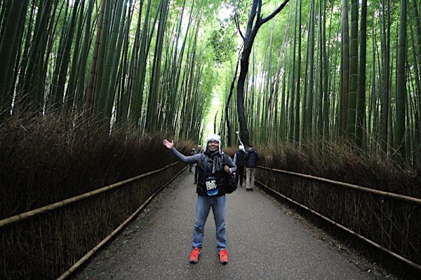 Sagano Bamboo Forest Di Arashiyama