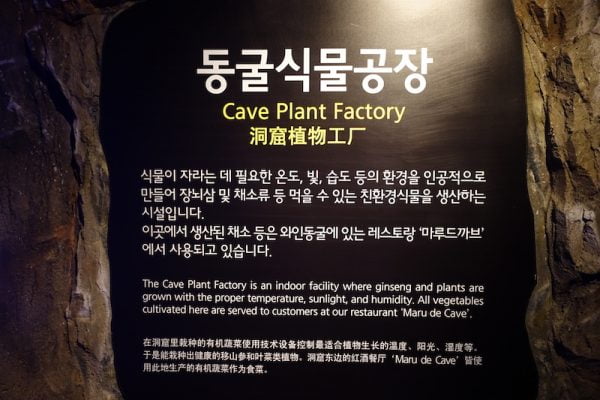 Gwangmyeong Cave Terbaik Di Korea