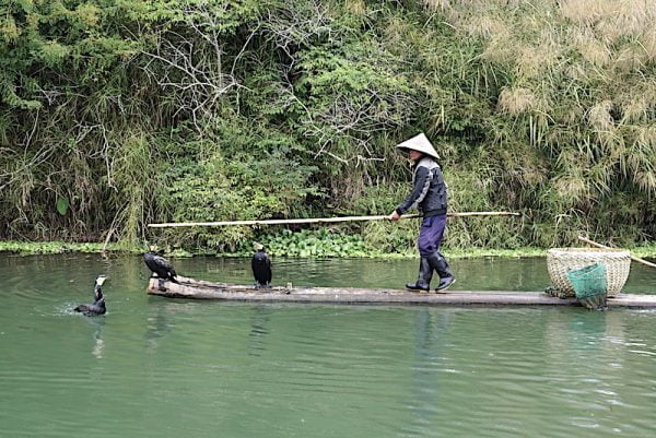 Pengalaman Menyusuri Li River Bamboo Rafting Di Guilin China