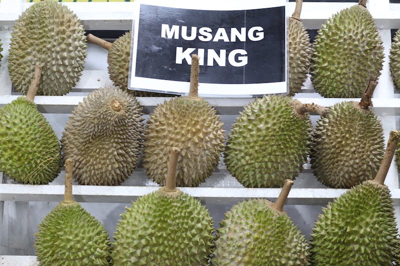 Durian King TTDI Tempat Makan Durian Paling Best