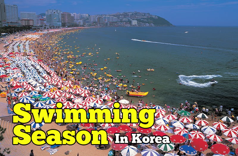 swimming season korea