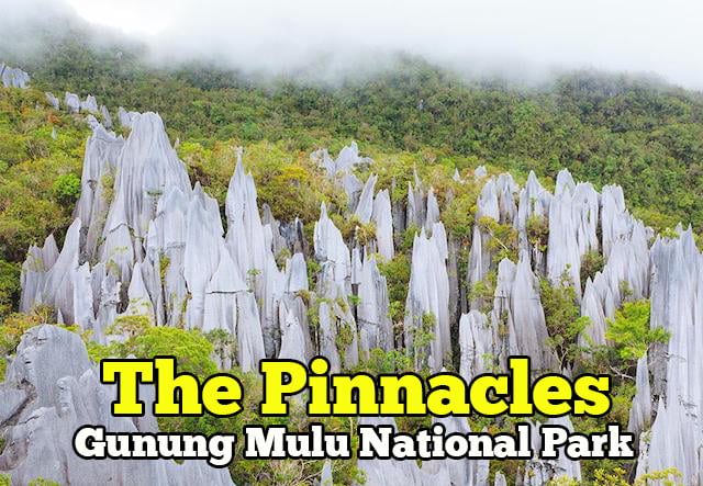 pinnacles gunung mulu national park
