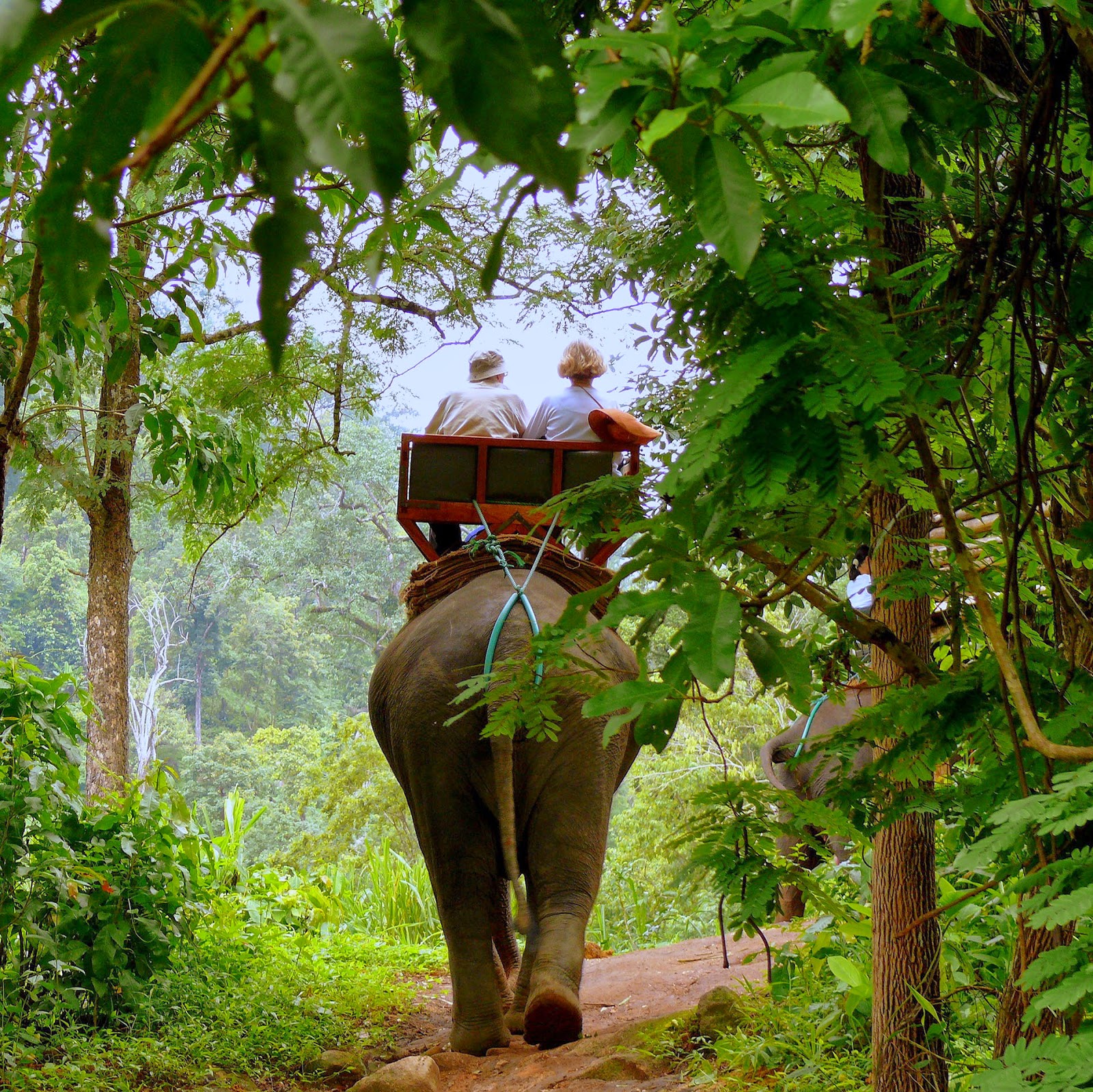 elephant-ride-krabi