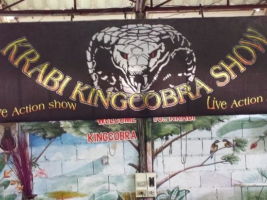 krabi-king-cobra-show