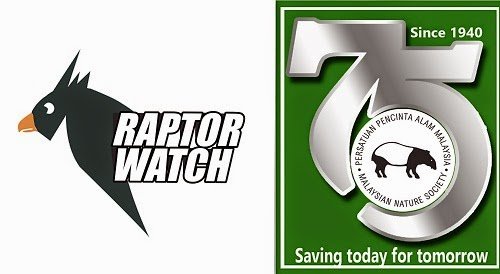 Raptor_Watch_2015_Port_Dickson