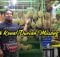 Cara Nak Kenal Buah Durian Musang King 01 copy