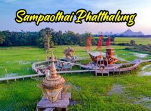 Sawah_Padi_Cantik_Sampaothai_Phatthalung_Thailand_12 copy