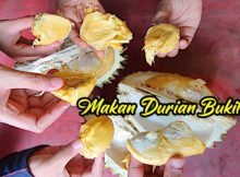 Makan Durian Bukit Jalan Tapah Cameron Highlands 06 copy