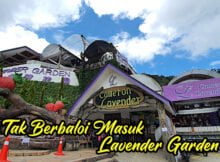 Tiket-Masuk-Cameron-Lavender-Garden-Brinchang-Pahang-01 copy