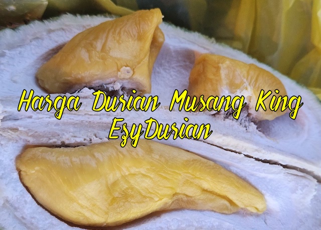 Harga Durian Musang King EzyDurian